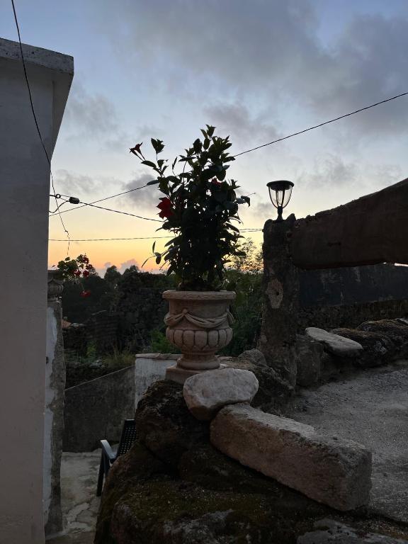 Fotografie z fotogalerie ubytování Mirada Do Roxo v destinaci Oia