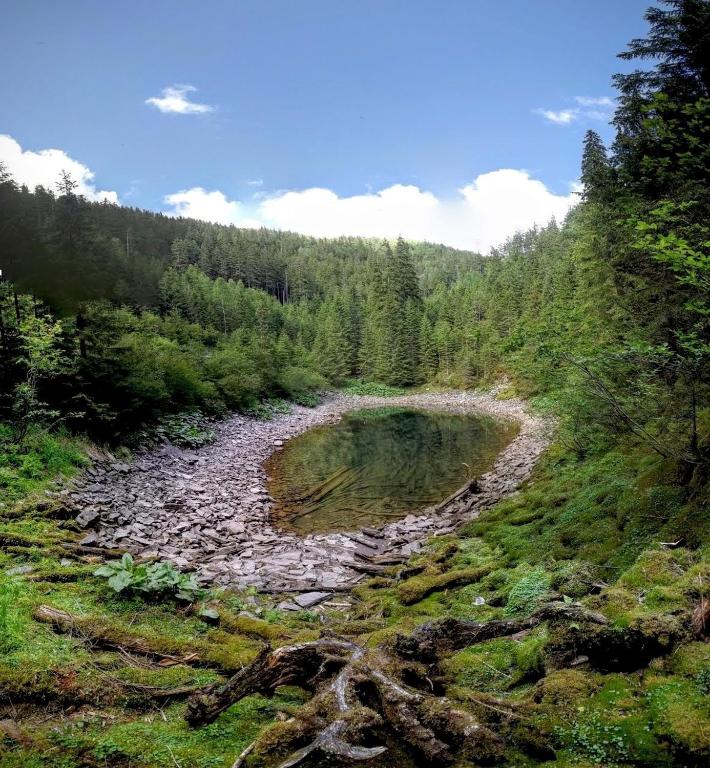 Příroda nedaleko venkovského domu