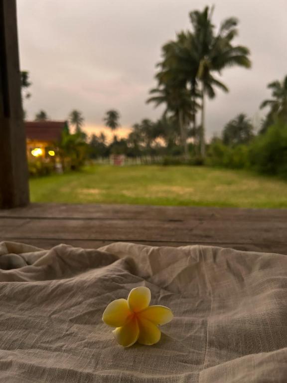 Zahrada ubytování Linkgreen Homestay Lombok