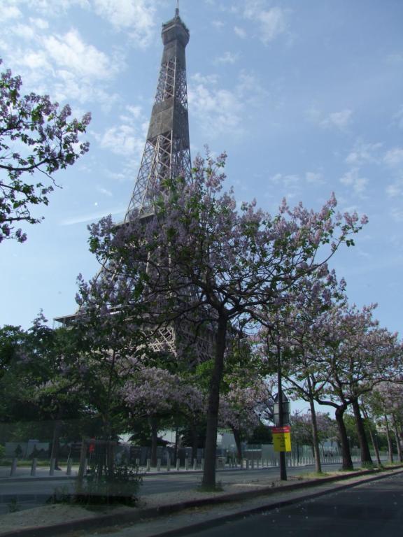 une vue de la tour Eiffel avec des arbres dans l'établissement Plein coeur de Paris, à Paris