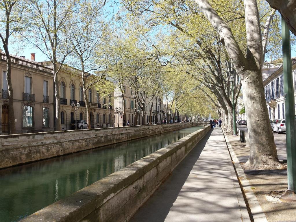 ニームにあるStudio Nîmes Centreの通り沿いの木々や建物のある運河