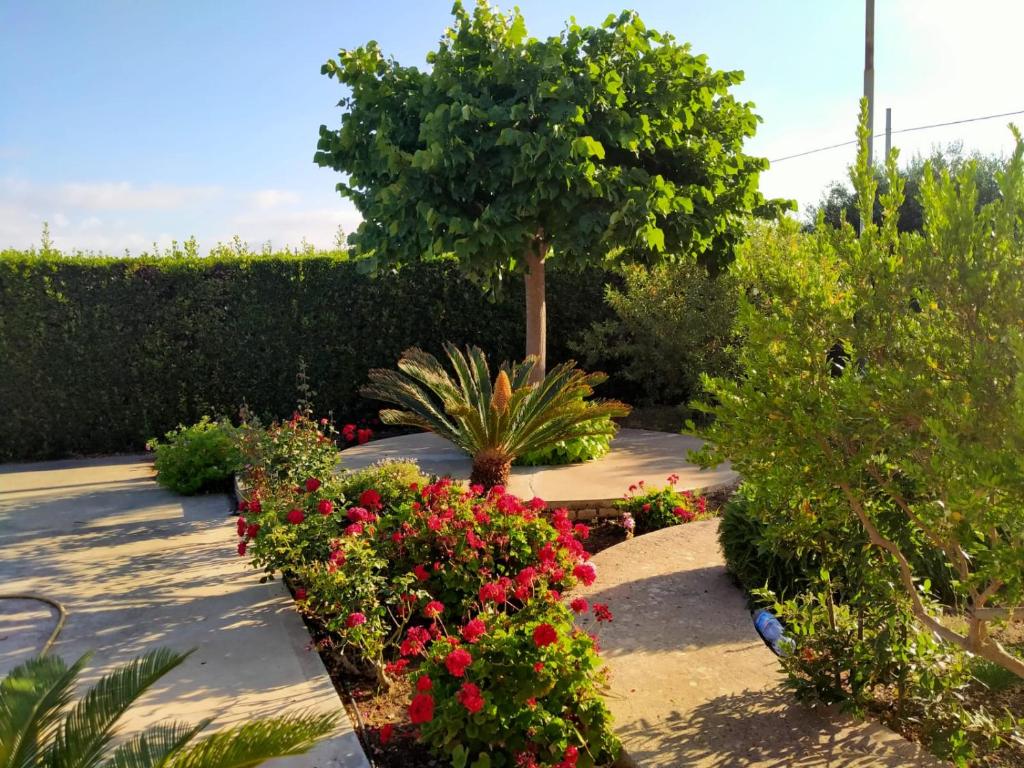 Vonkajšia záhrada v ubytovaní Casa Donna Razietta - Natura e relax