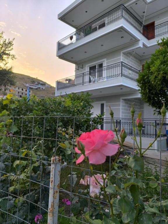 Vaya Guesthouse