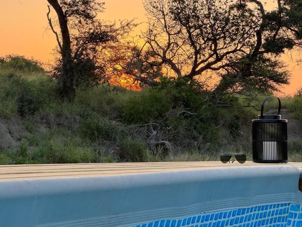 Bazén v ubytování Kruger Untamed - Tshokwane River Camp nebo v jeho okolí