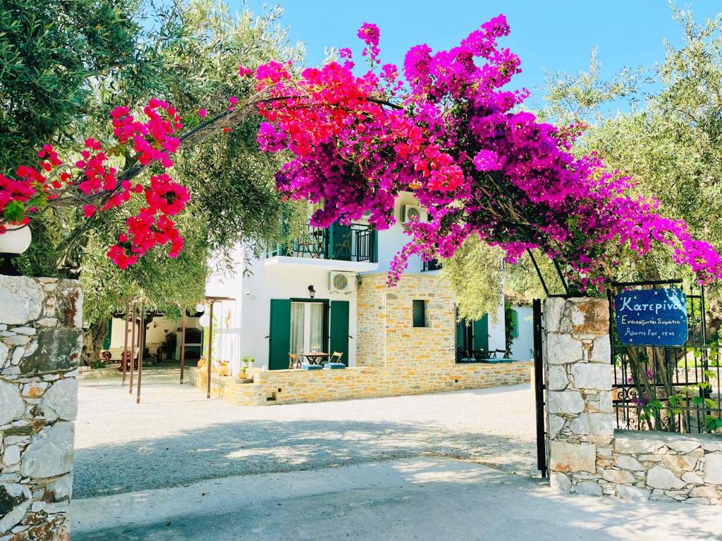 A garden outside Katerina