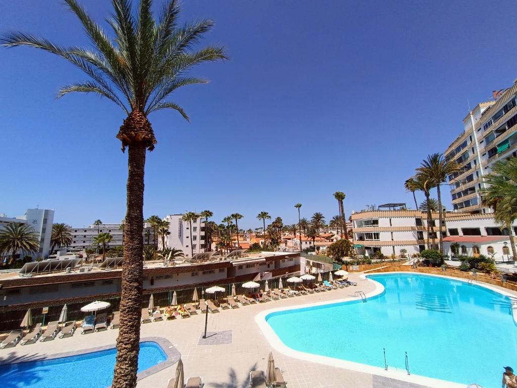 a palm tree and a swimming pool in a resort at koka vacations 308 Playa del inglés in San Bartolomé de Tirajana