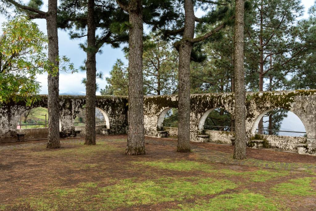 Paisaje cerca de este hotel