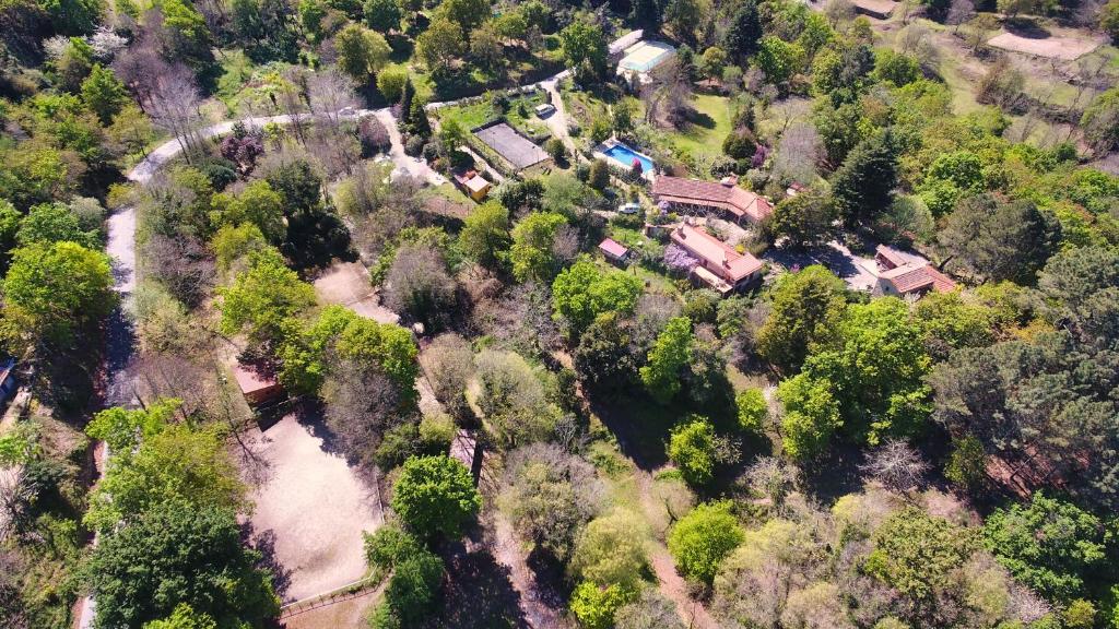 an aerial view of a house in a forest at Casa da Avó Maria na Quinta do Castro in Manhuncelos