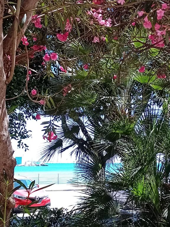 Swimmingpoolen hos eller tæt på Il Cristallo del mare