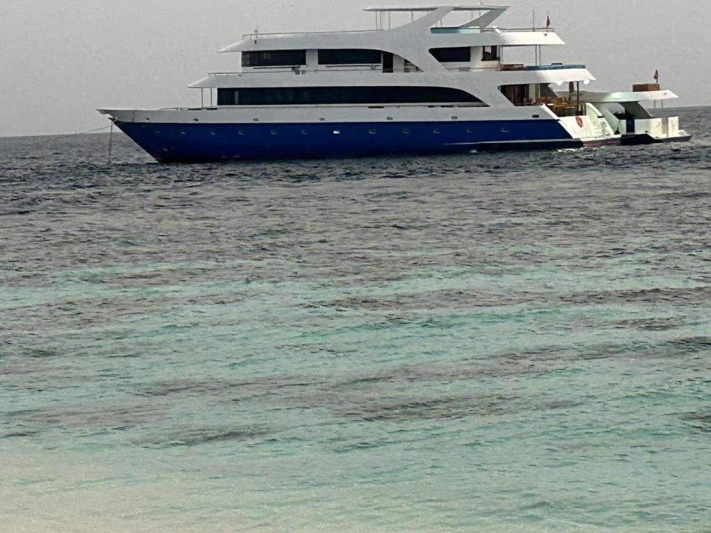 a large blue and white boat in the water at Maldives Safary Tours in Male City