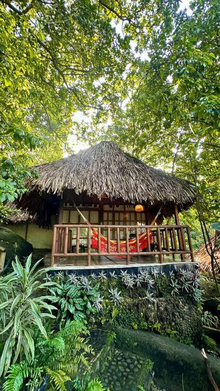 a hut with a straw roof on top of it at Eco Hostal Yuluka in El Zaino