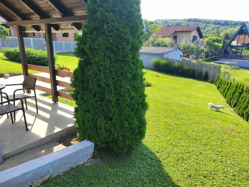 Zahrada ubytování Garden 022