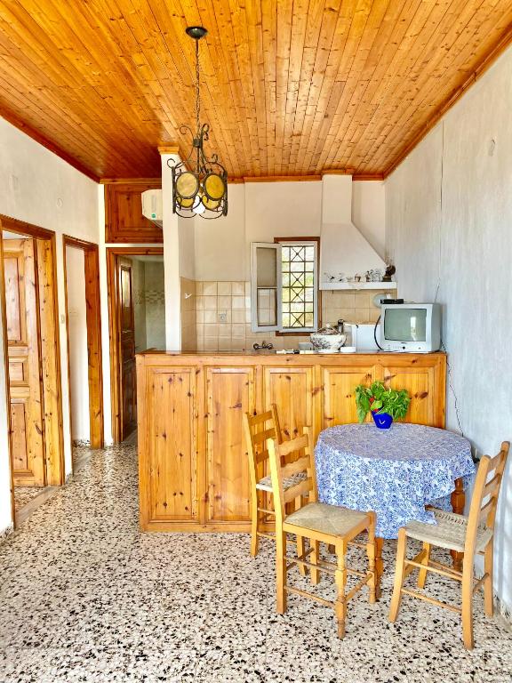 a kitchen with a table and chairs in a kitchen at Betsanis Stafylos Apartments in Stafylos