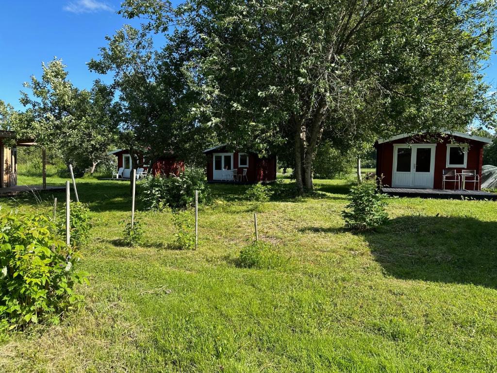 Zahrada ubytování Kuriste camping