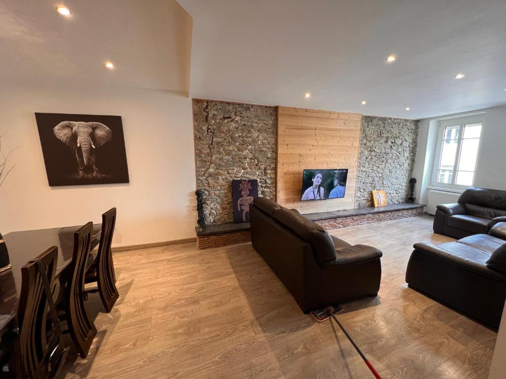 ein Wohnzimmer mit zwei Sofas und einem Elefanten an der Wand in der Unterkunft Appartement centre-ville très spacieux avec 4 chambres in La Tour-du-Pin