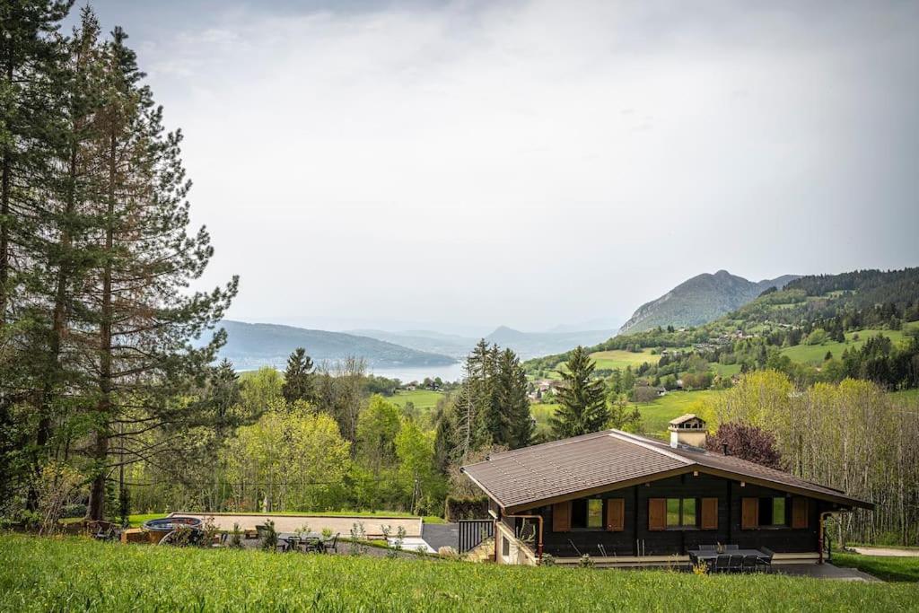 a house in a field with mountains in the background at Venez chez vous - Chalet le Dahu in Rovagny