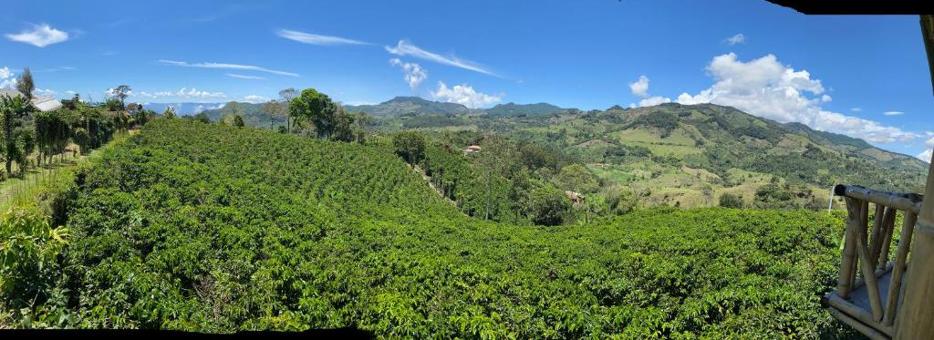 Gallery image of Finca el milagro in El Edén