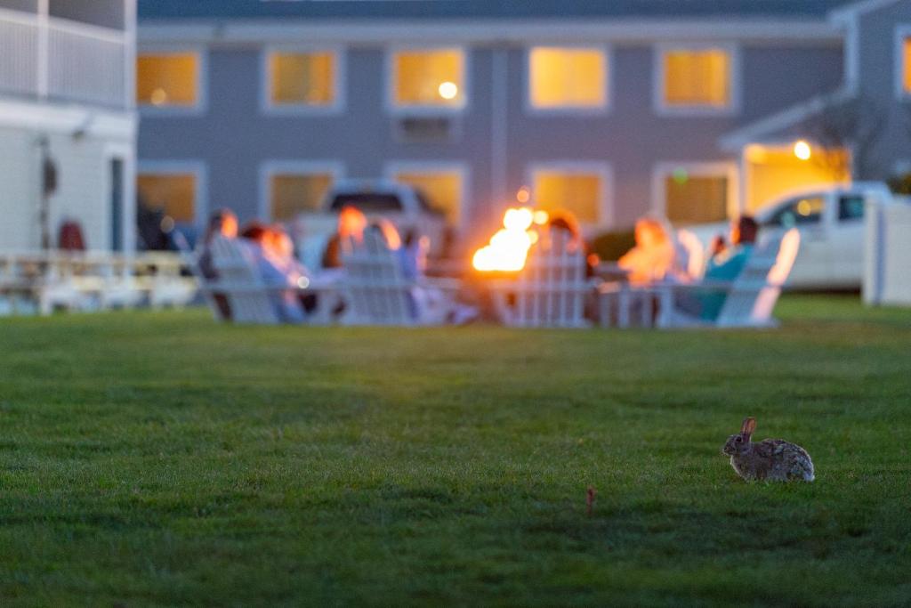 Fotografie z fotogalerie ubytování InnSeason Resorts Surfside v destinaci Falmouth