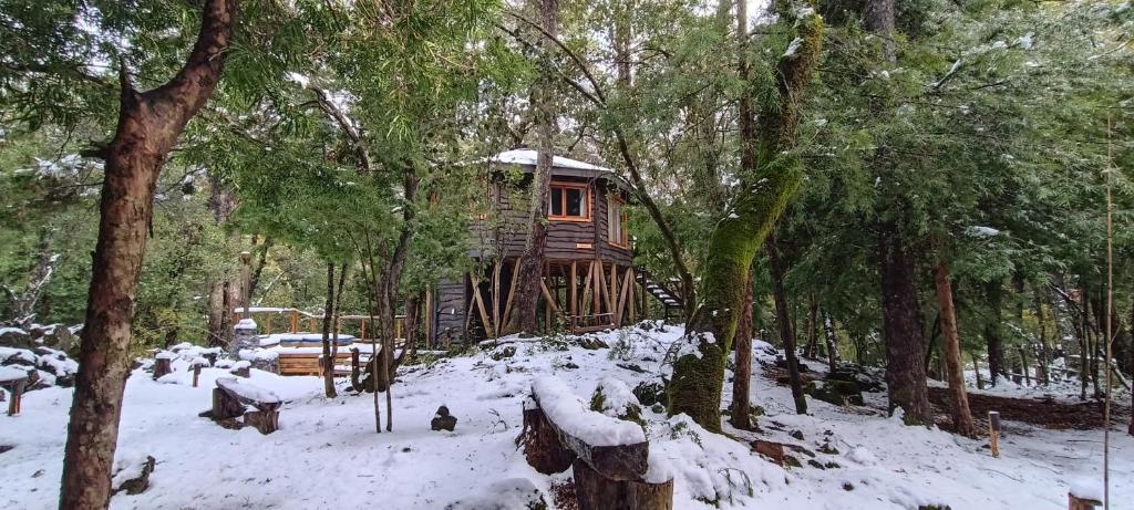 una casa sull'albero nel bosco nella neve di Cabañita Del Árbol a Las Trancas