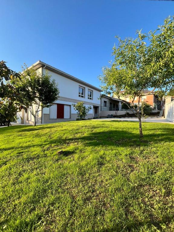a house with a tree in the middle of a yard at A de Carmiña in A Coruña