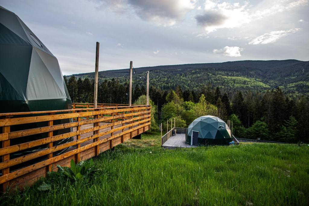 Příroda nedaleko luxury tent