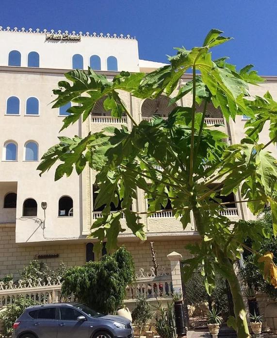 a car parked in front of a large building at Hammam Antistress in Sousse