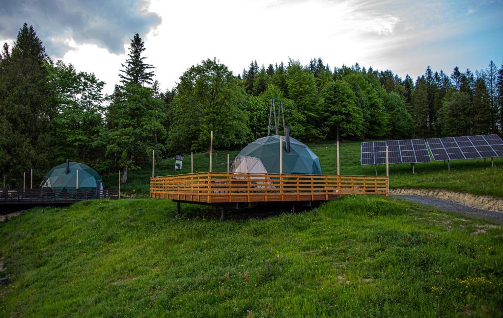 Zahrada ubytování BUNNY GLAMP