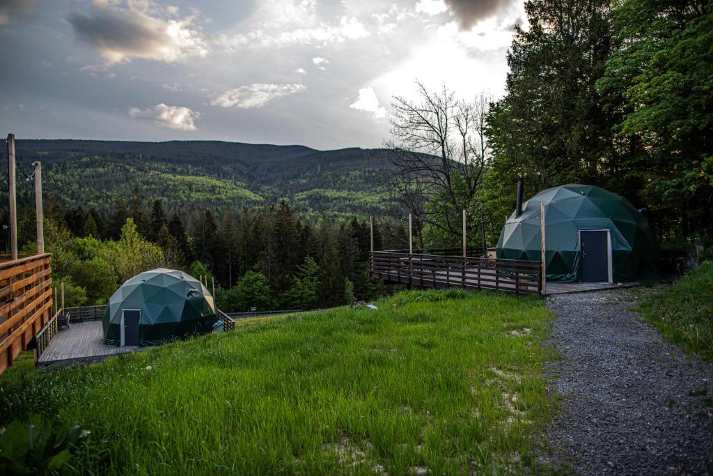Příroda nedaleko luxury tent