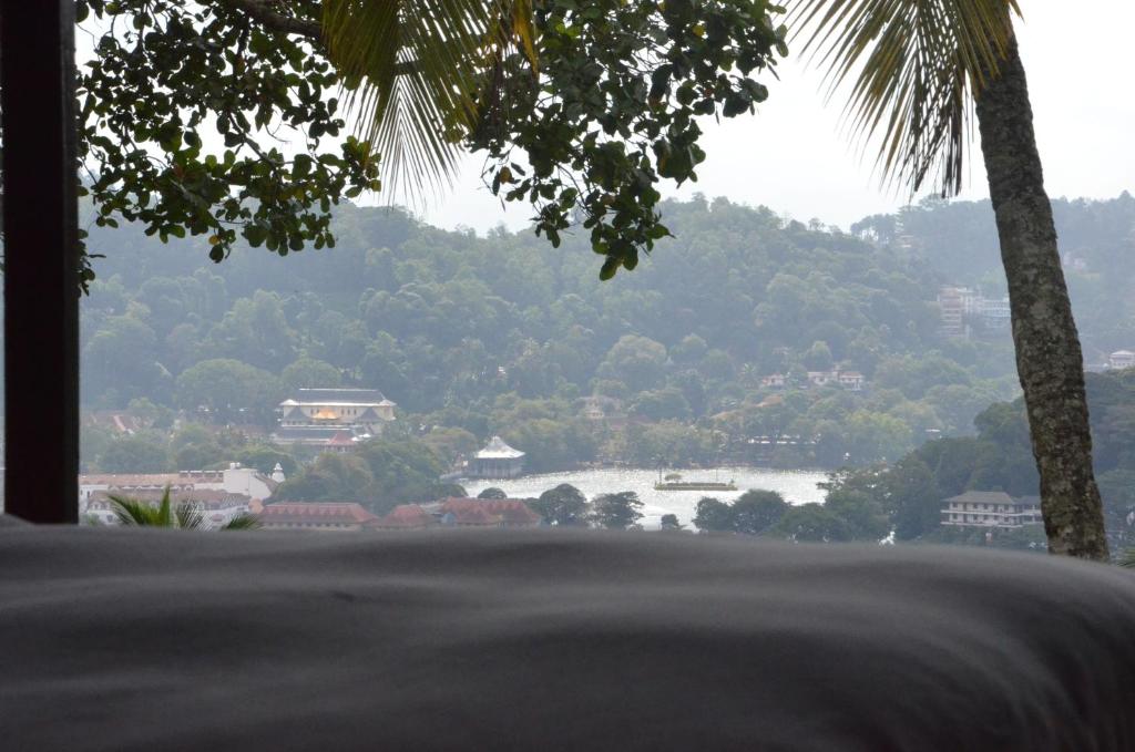 The Buena Vista Kandy - 8