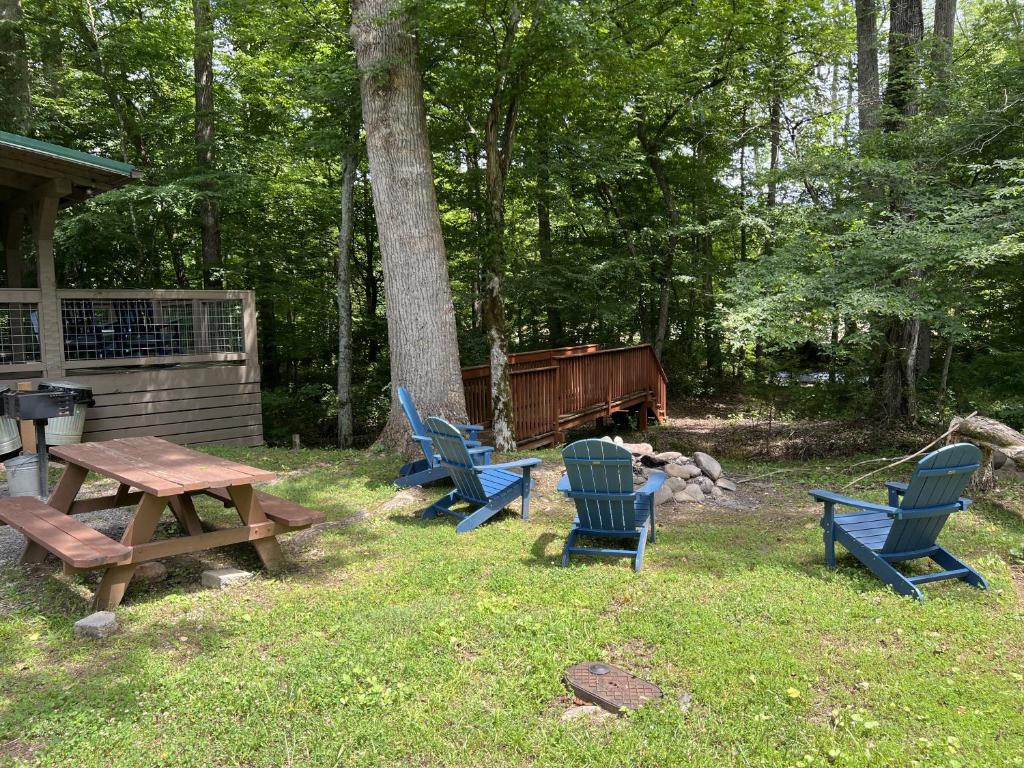a group of chairs and a picnic table in the grass at Home Sweet Home Cabin in Cosby