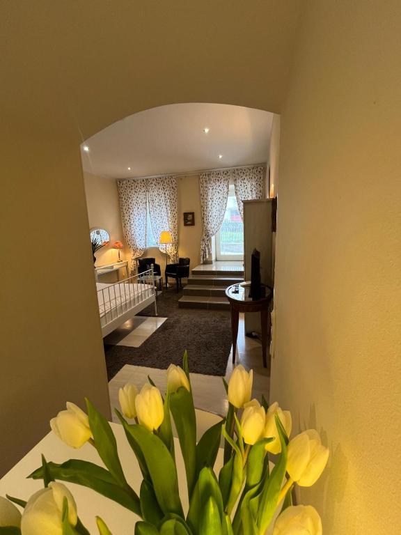 St Martin Apartment - 8