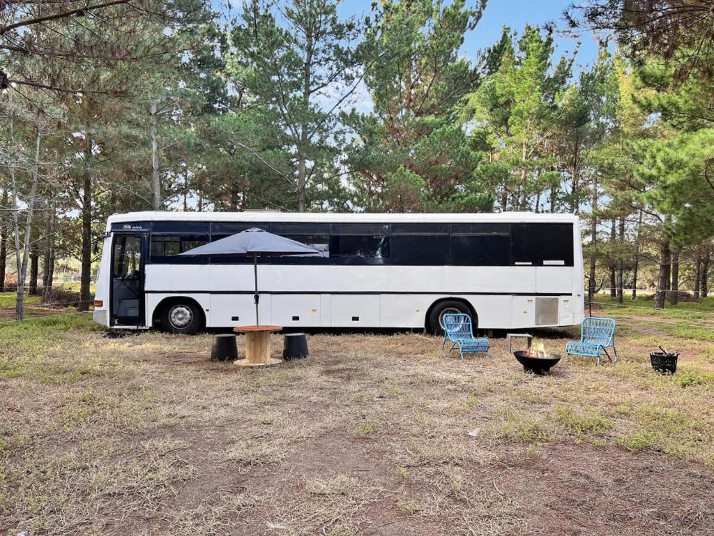Fotografie z fotogalerie ubytování Bussie McBusFace, converted bus in Little River v destinaci Little River