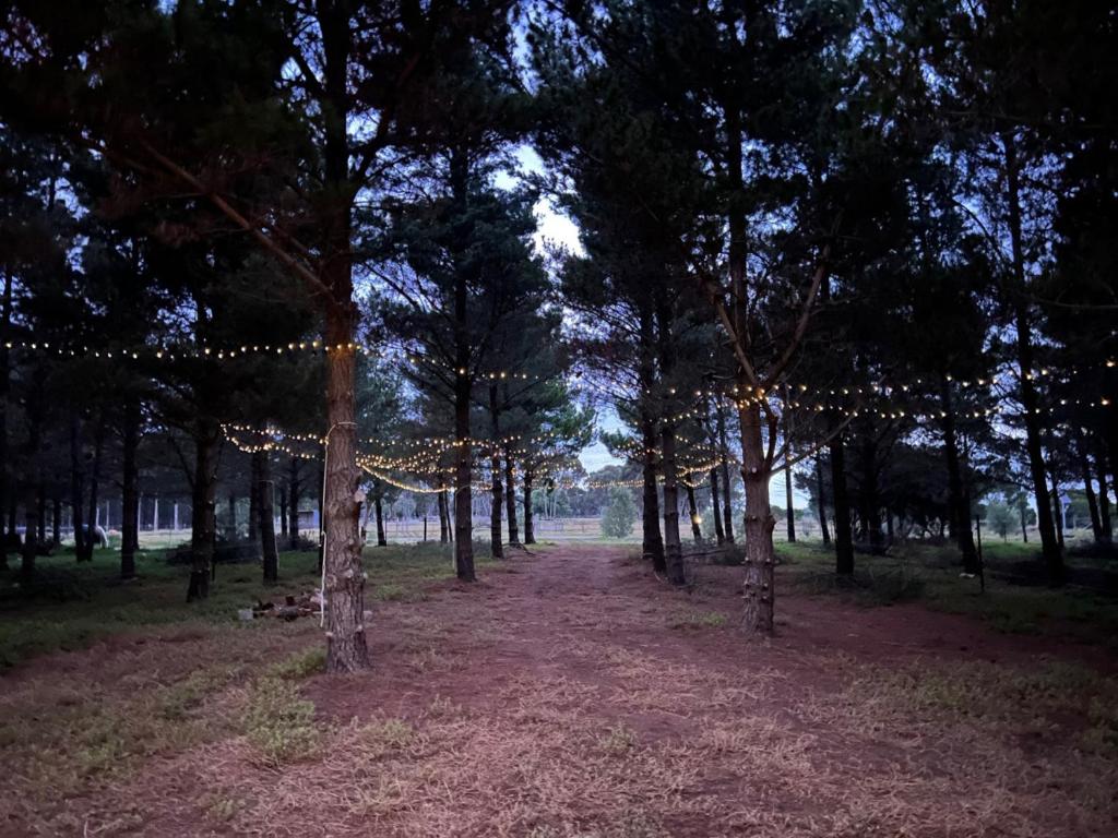 Příroda nedaleko apartmánu