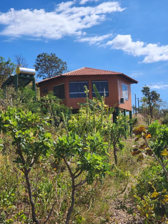 Zahrada ubytování Bangalô São Jorge - Ecohospedagem Canto da Coruja