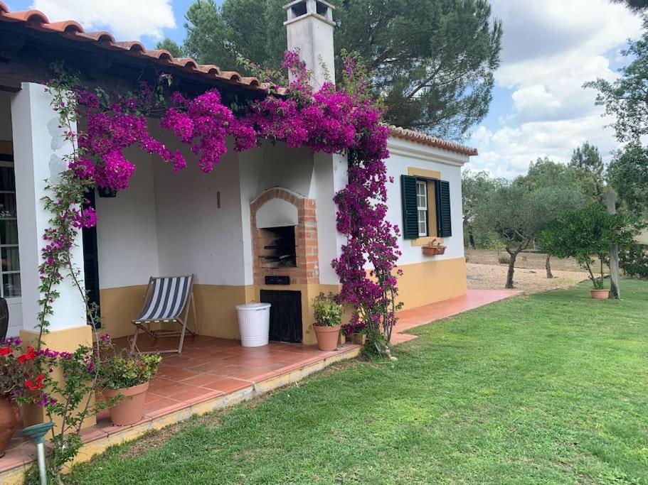 Een huis met paarse bloemen erop. bij The S House - Santo Estêvão in Santo Estêvão