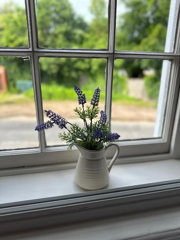 Kings Head Coltishall - Resim 9