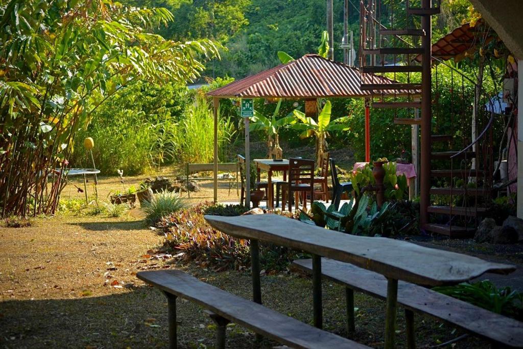 Zahrada ubytování Darwin's temple 3