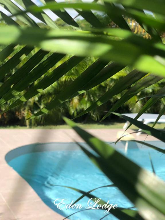 Bazén v ubytování Eden Lodge 4 Villas avec piscine privée nebo v jeho okolí