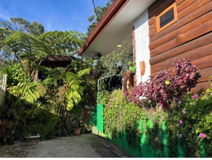 20/20 wood cabana - 17