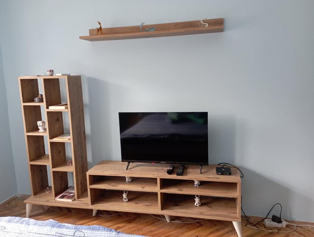 TV a/nebo společenská místnost v ubytování Apartman Miki Jovanović