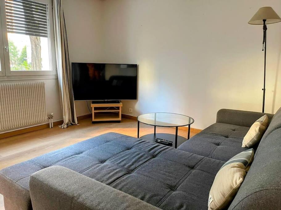 TV a/nebo společenská místnost v ubytování Superbe 51m2 RDC proche Défense
