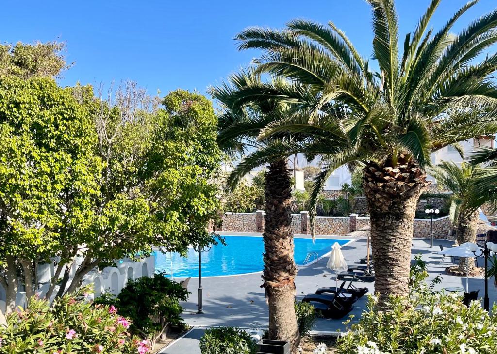 two palm trees in front of a swimming pool at Albatros Hotel in Karterados