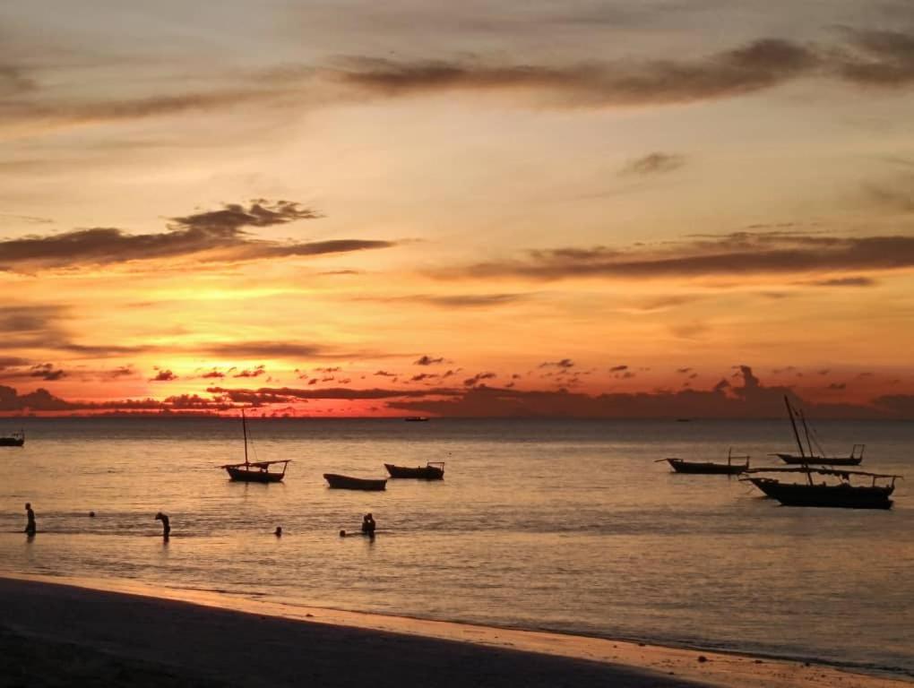 Gallery image of Zanzi beach hotel in Nungwi