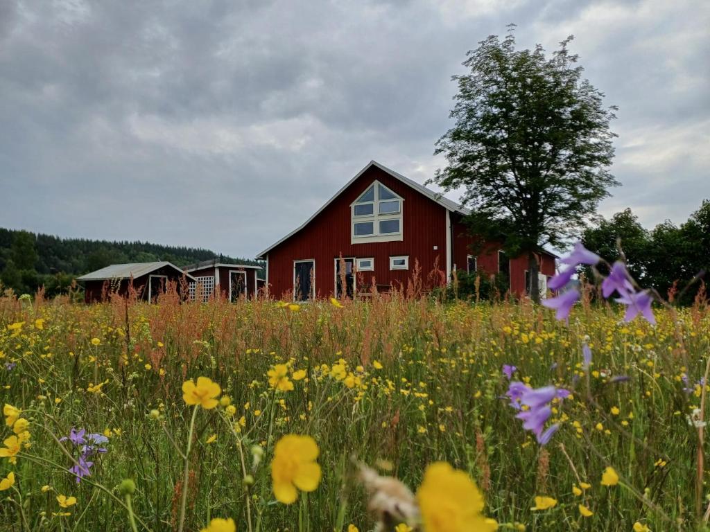 Příroda nedaleko apartmánu