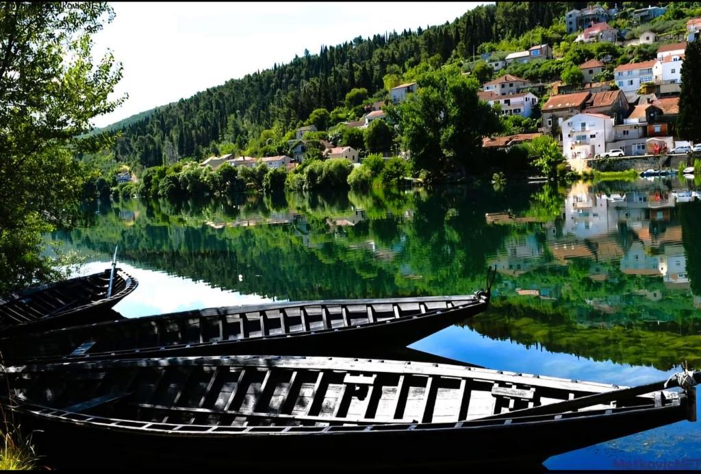Příroda nedaleko apartmánu