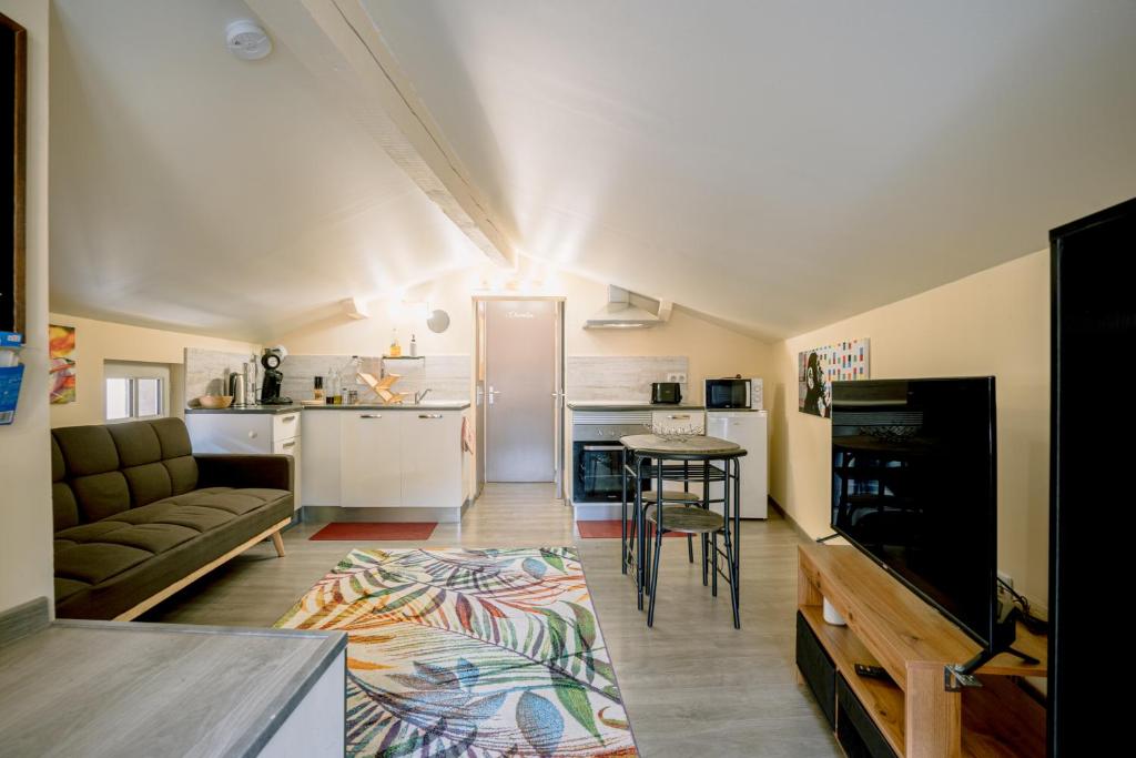 un salon avec un canapé et une table dans l'établissement Centre historique et bord du tarn - clim - unique, à Albi