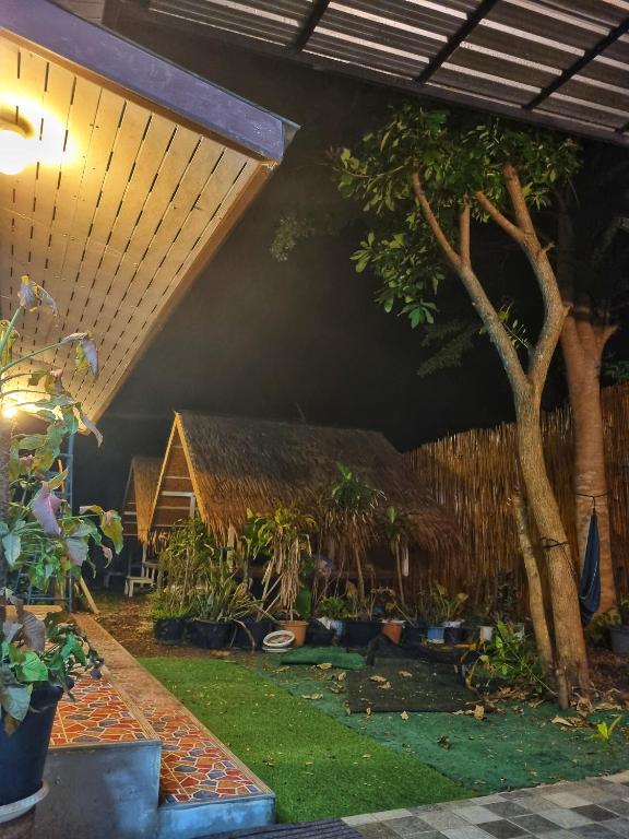 Zahrada ubytování Backpack Hostel Kohyaoyai
