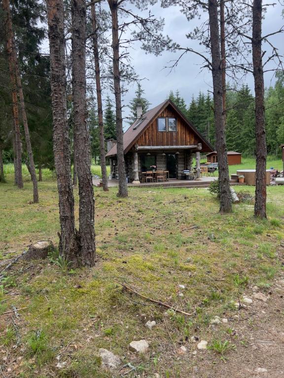 a log cabin in the woods with trees at Tammeoja puhkemaja in Sõmeru