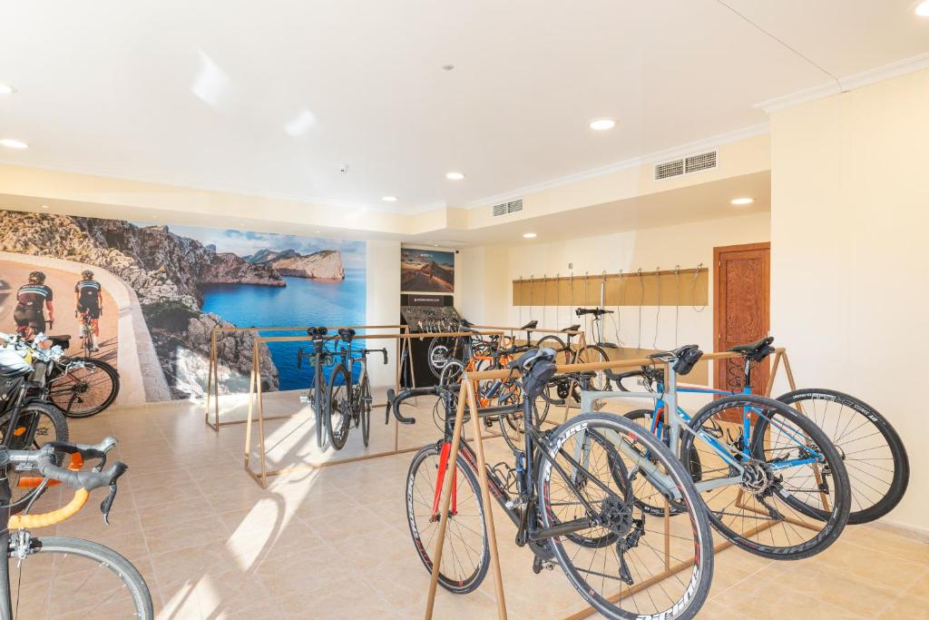 Jízda na kole v ubytování Can Picafort Palace nebo okolí