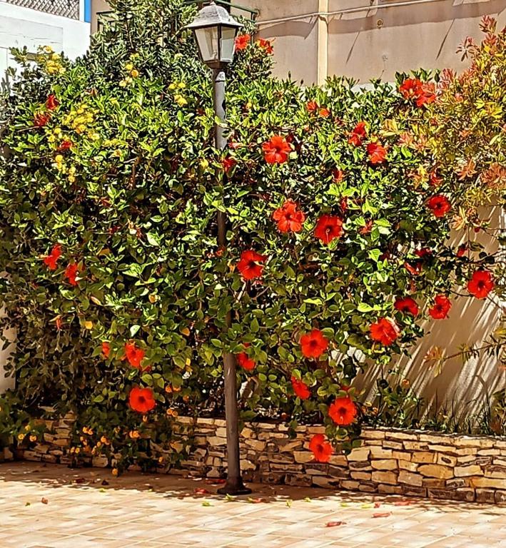 A garden outside Blu Vacanze Residence